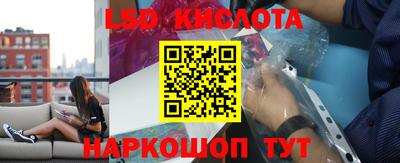 гидра Тверь