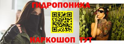гидра Тверь