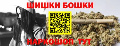 МДПВ Татарск