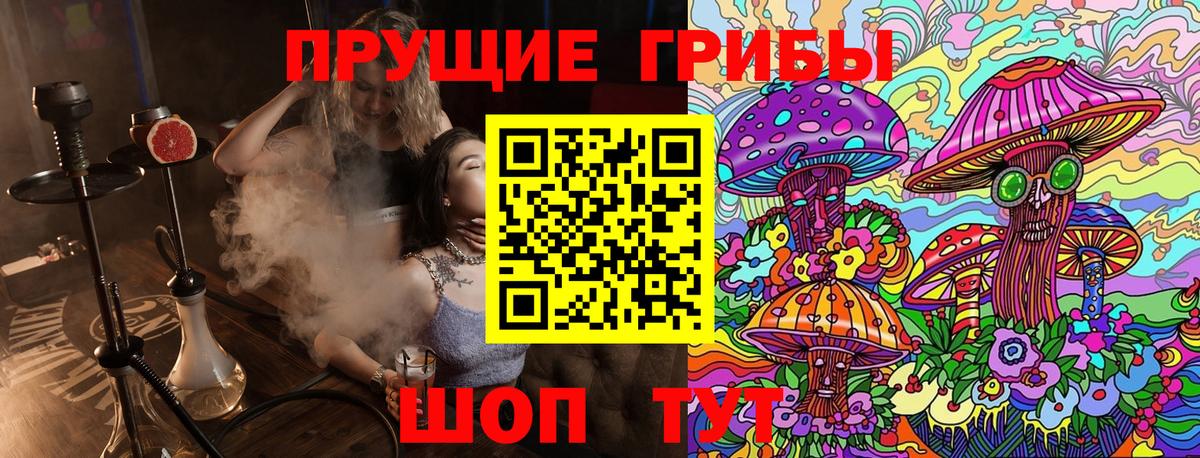 Псилоцибиновые грибы GOLDEN TEACHER  Галлюциногенные грибы Psilocybine cubensis  Нурлат  Вход с VPN 
